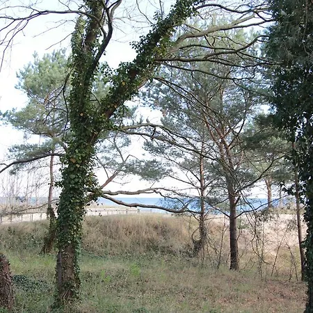 Casa de hóspedes Auf Der Duene Heringsdorf (Usedom)