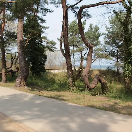 Auf Der Duene Heringsdorf (Usedom)